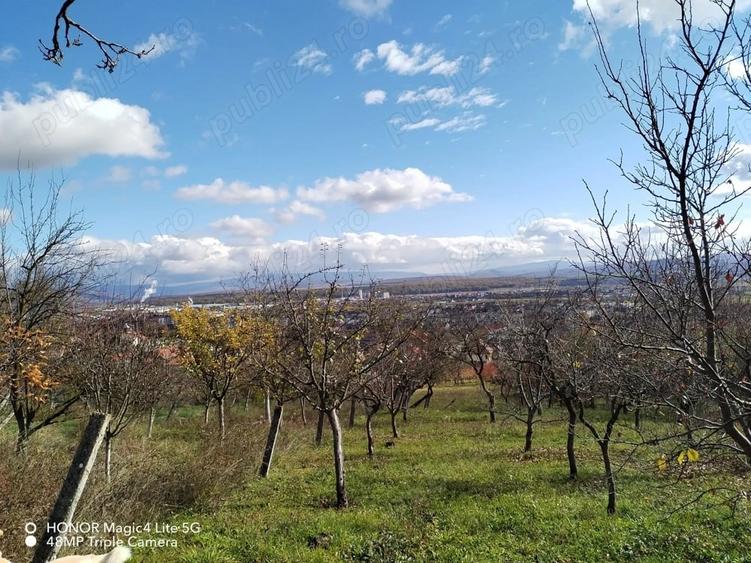 Teren în Central