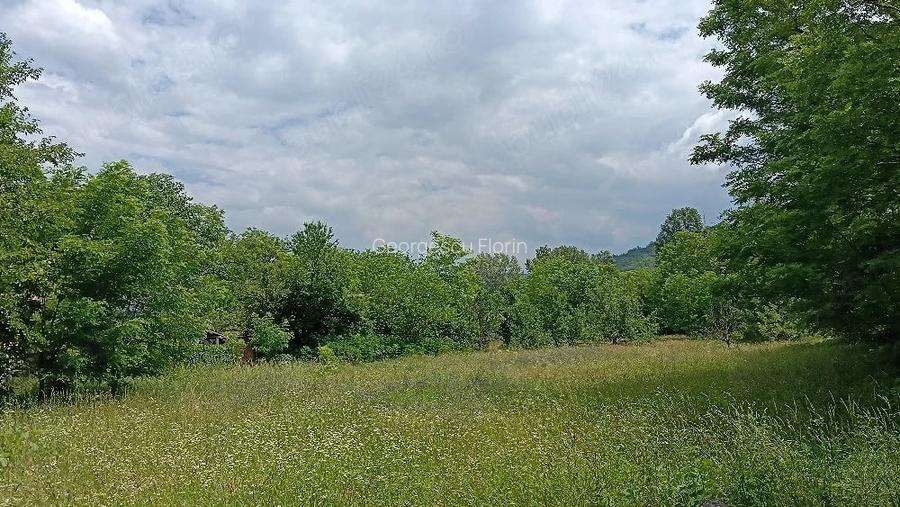 Teren intravilan 1512 mp Oras Patarlagele Buzau Schimb