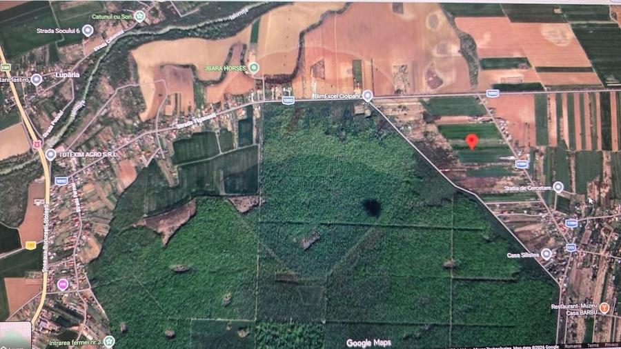 Teren Construcții intravilan de 704 mp, în Siliștea Snagovului