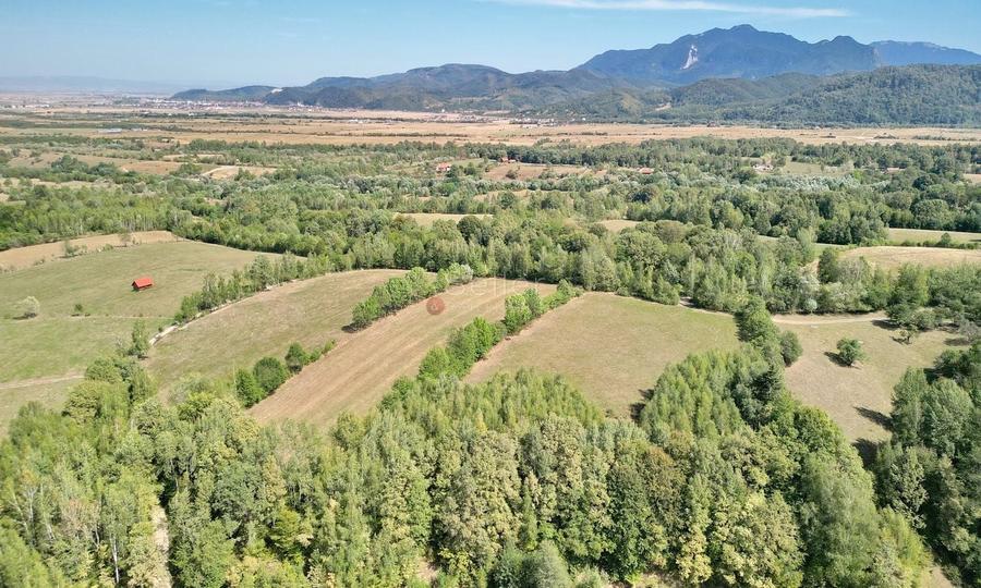 Teren Construcții intravilan de 10000 mp, în Sohodol