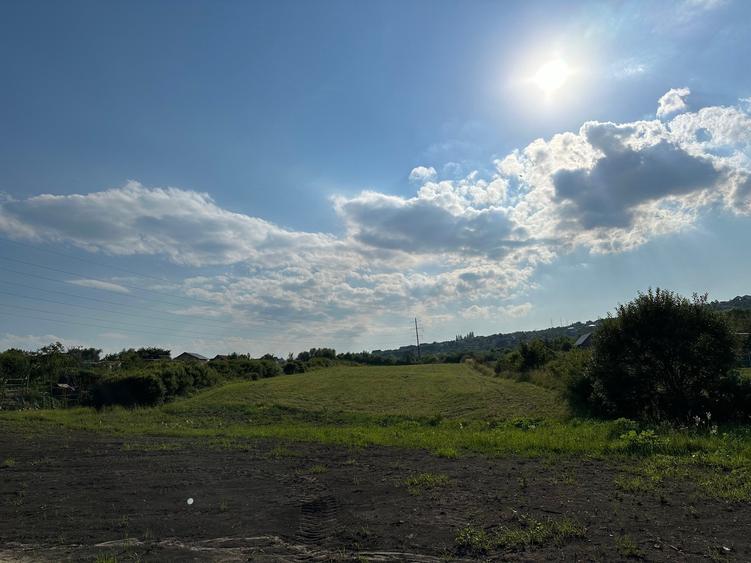 Teren Construcții de 8000 mp, în Daia Nouă
