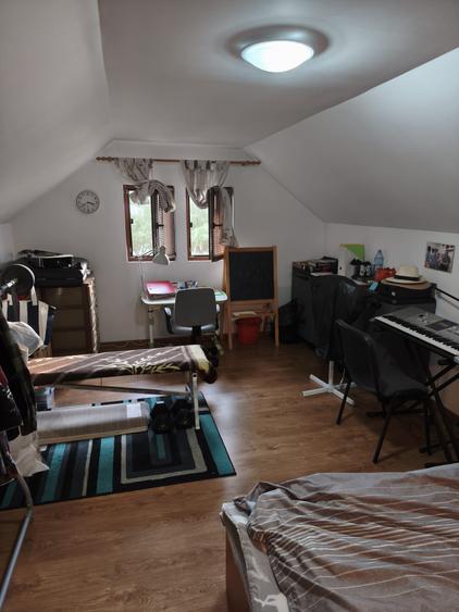 Casa pe care o doresti , nu foarte mare si confortabila , livada cu pomi pe rod - 28