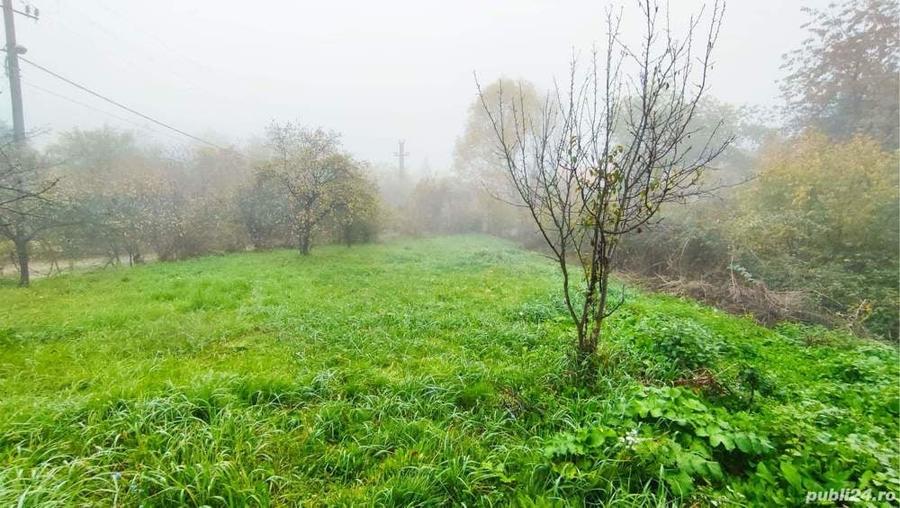 Teren de 1349 mp, în Podgoria