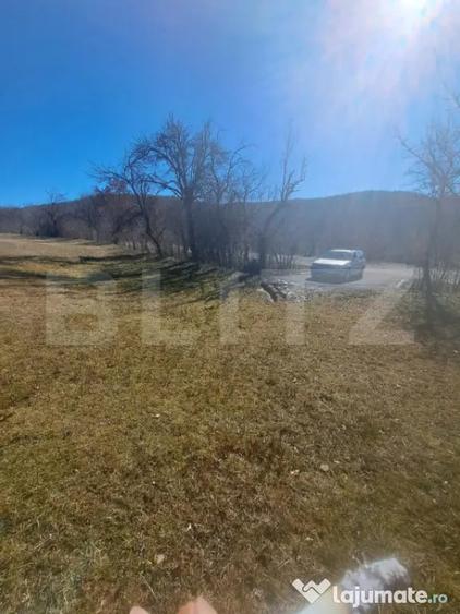 Teren de 5000 mp, în Almașu Mare