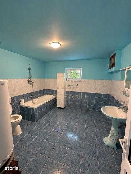 Spațiu comercial, de 180 mp, în Ciumeghiu