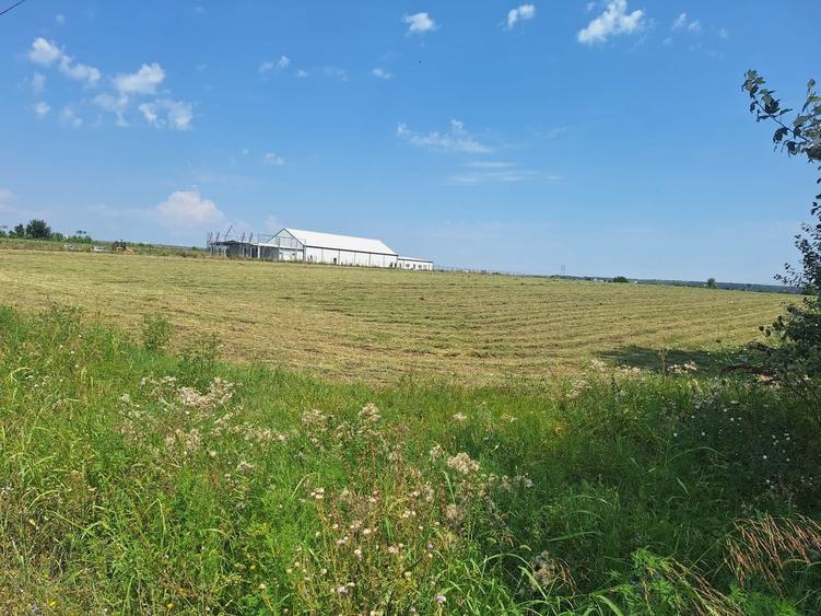 Teren în Ciorogârla
