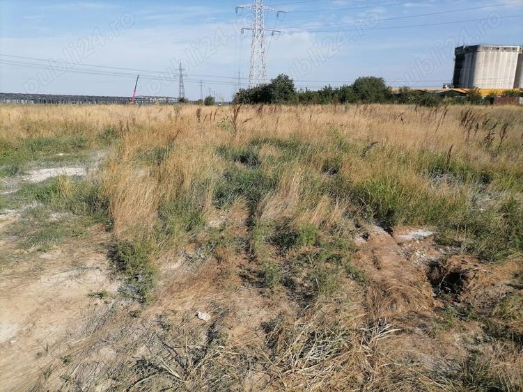 Teren de 5000 mp, în Afumați