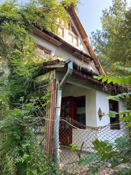 Casă cu 5 camere cu Teren 3438 Mp în Avram Iancu (Vârfurile)
