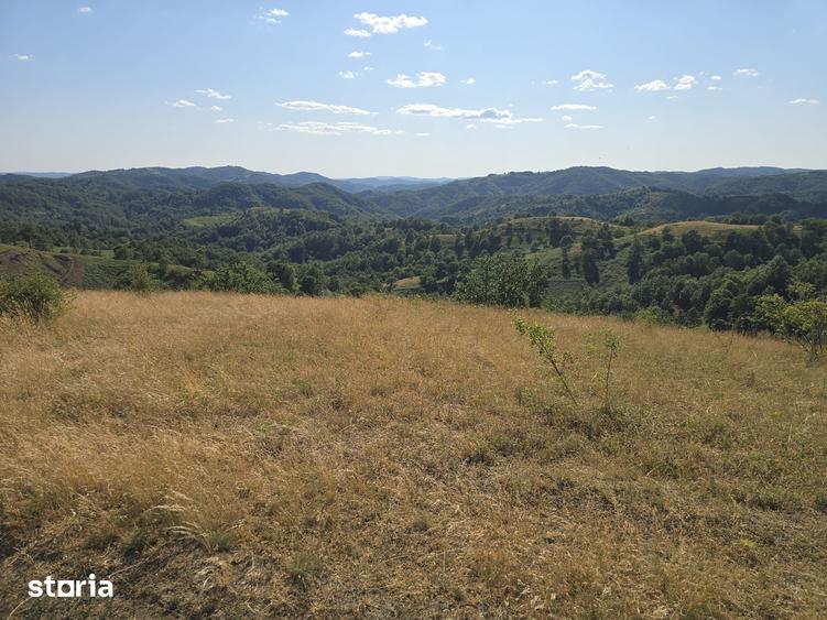 Teren de 150000 mp, în Cerbăl
