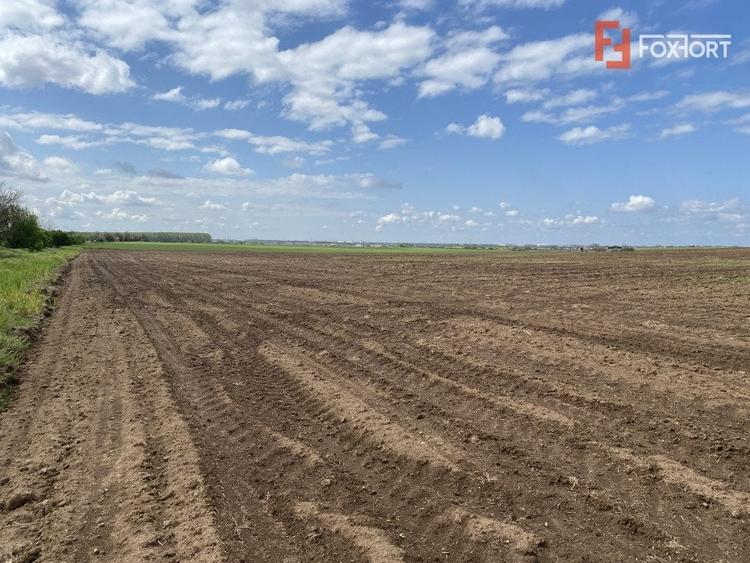 Teren agricol extravilan de 41700 mp, în Sânandrei
