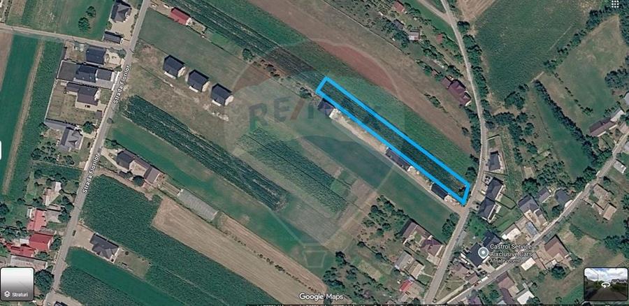 Teren de 2600 mp, în Lisaura