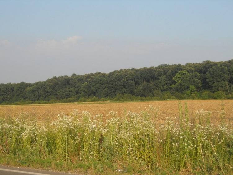 Teren Construcții intravilan de 670 mp, în Crevedia