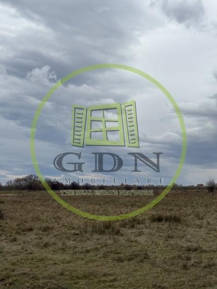 Teren agricol extravilan de 1000 mp, în Avrig