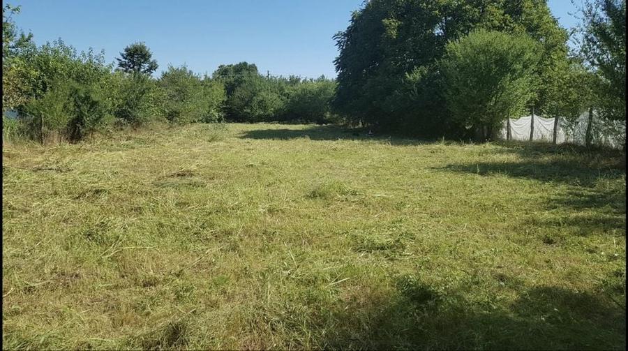 Teren de 1560 mp, în Lipia