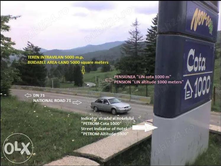 Teren de 5000 mp, în Moroeni