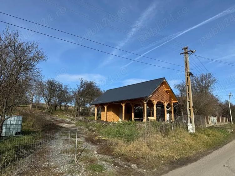 Casă cu Teren 2700 Mp în Livada (Petreștii de Jos)