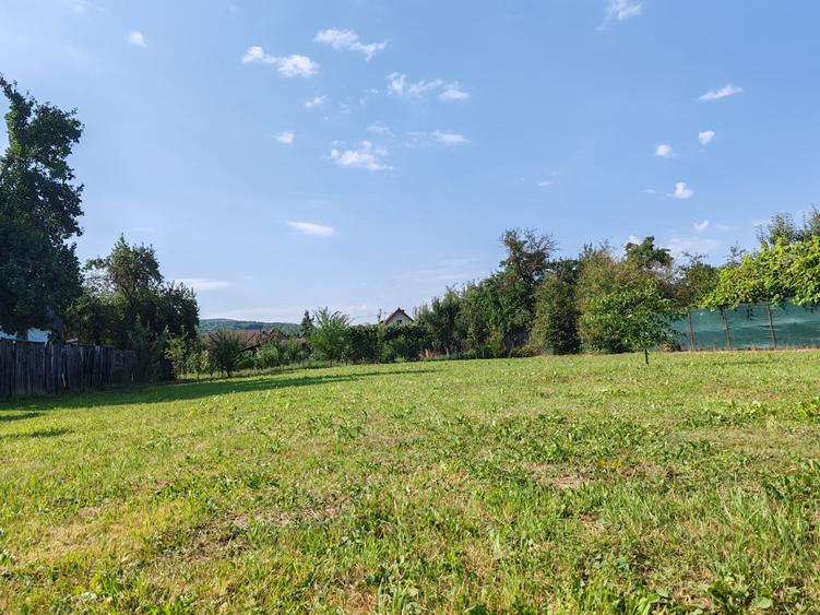 Teren Construcții intravilan de 1000 mp, în Dobârlău