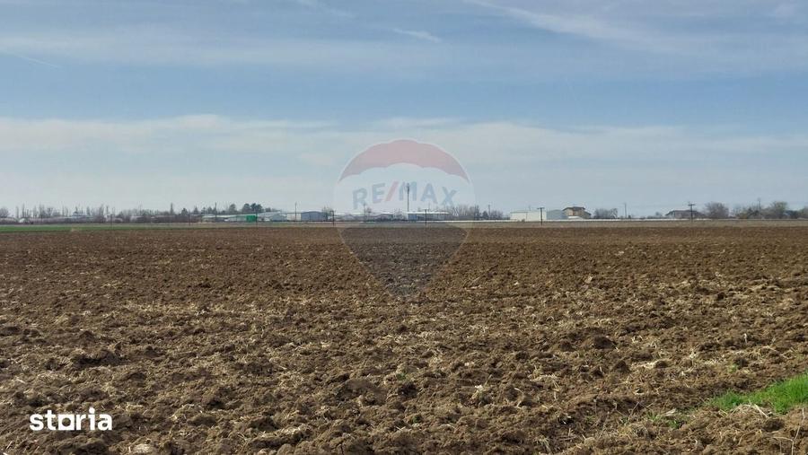 Teren de 5000 mp, în Moara Vlăsiei