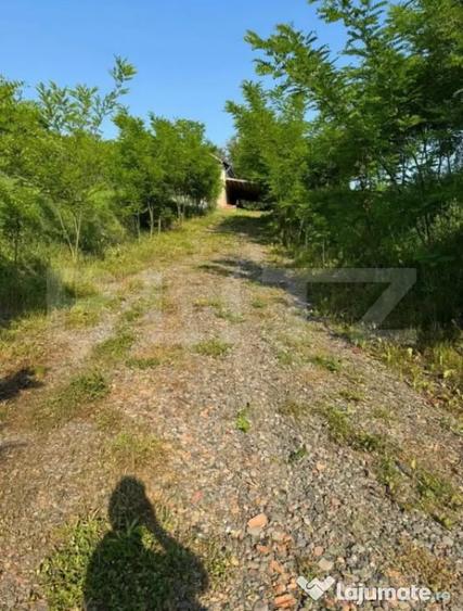 Casă cu 3 camere cu Teren 1600 Mp în Petrilaca