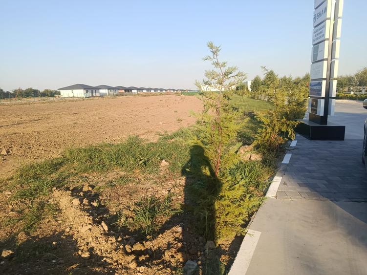 Teren Construcții intravilan de 4846 mp, în Dimieni