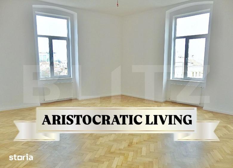 Apartament Istoric Deosebit, Regele Carol, Timisoara - 2