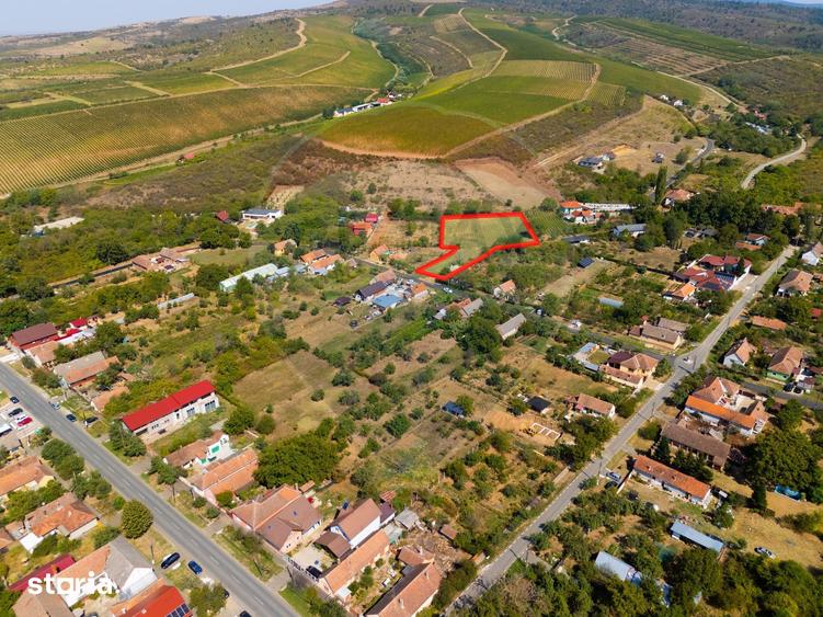 Teren de 4184 mp, în Ghioroc