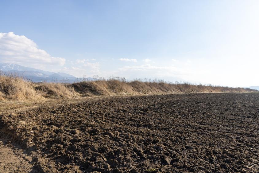 Teren agricol extravilan de 19239 mp, în Vulcan