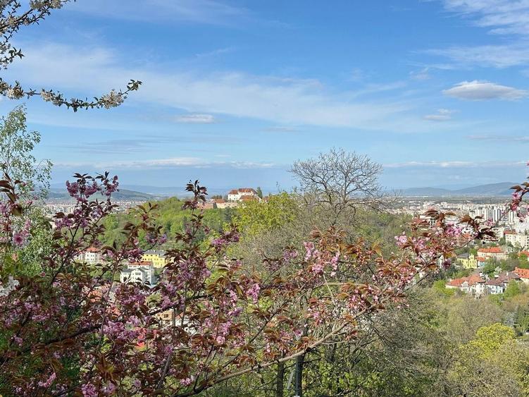 Apartament cu 2 camere decomandat, mobilat în Drumul Poienii