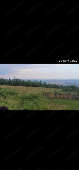 Teren de 800 mp, în Păun