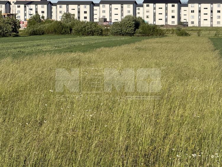 Teren Construcții extravilan de 2650 mp, în Horodnic de Sus