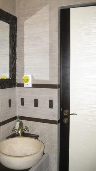 Apartament cu 2 camere decomandat în Turnișor