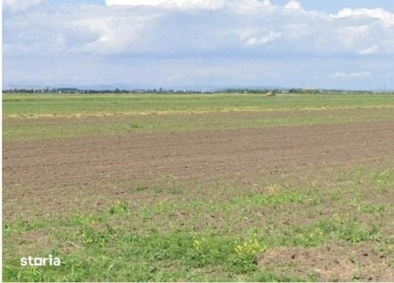 Teren de 5000 mp, în Mănești