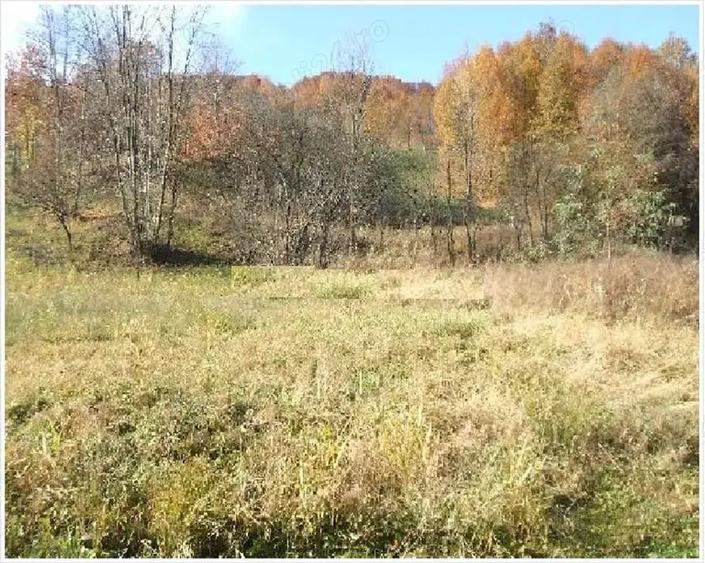 Teren de 1000 mp, în Drăgăneasa