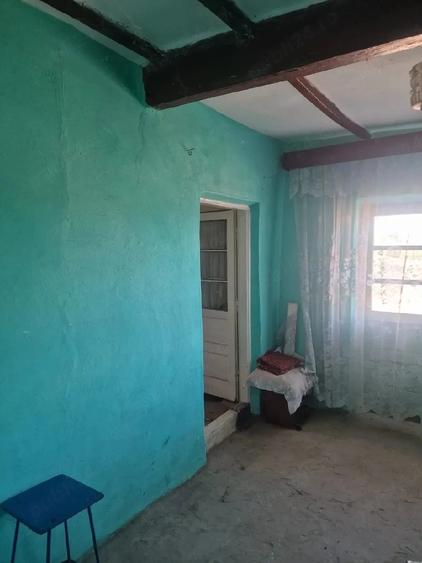 Casă cu Teren 3000 Mp în Dăeni