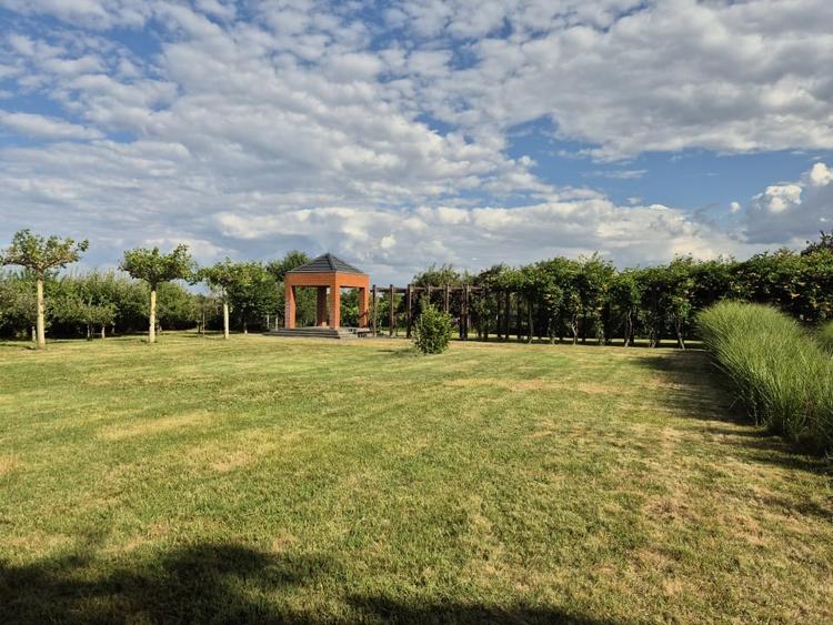 Casă individuală cu 6 camere cu Piscina în Bolintin-Deal
