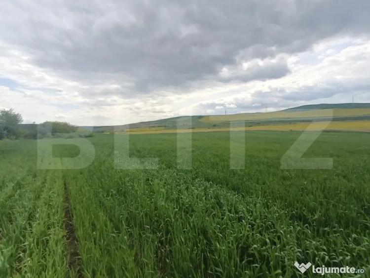Teren de 52600 mp, în Unirea