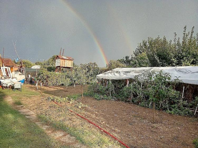 Teren de 2000 mp, în Puțu Greci