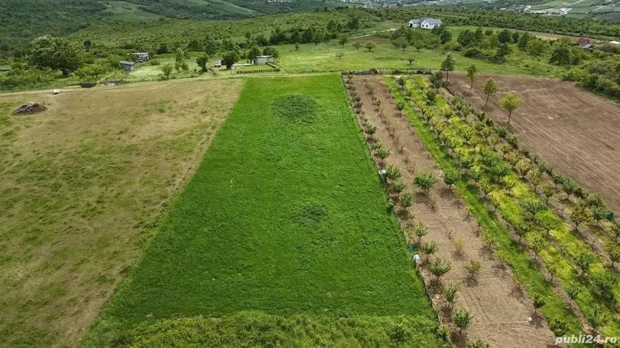 Teren de 3000 mp, în Săldăbagiu de Munte