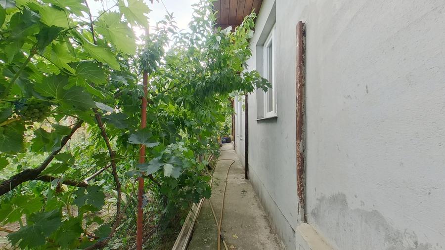Casă individuală cu 3 camere cu Teren 1530 Mp în Șiria