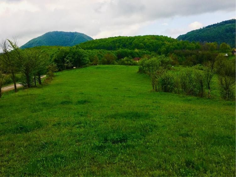Teren de 6675 mp, în Ormindea