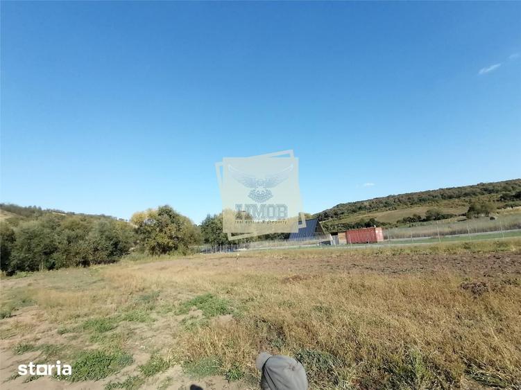 Teren intravilan 3500 mp zona Hamba - 12