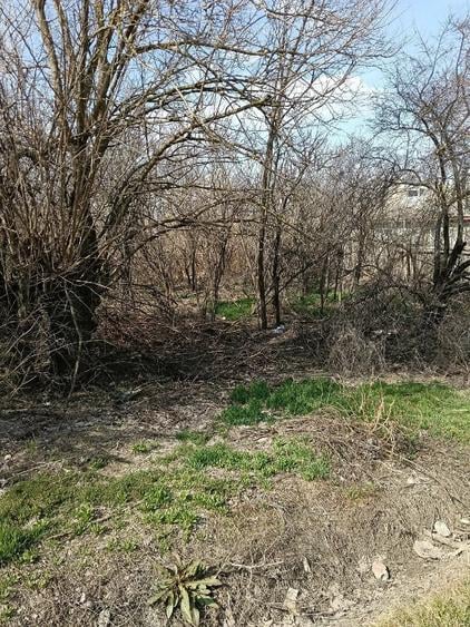Teren de 1038 mp, în Măxineni