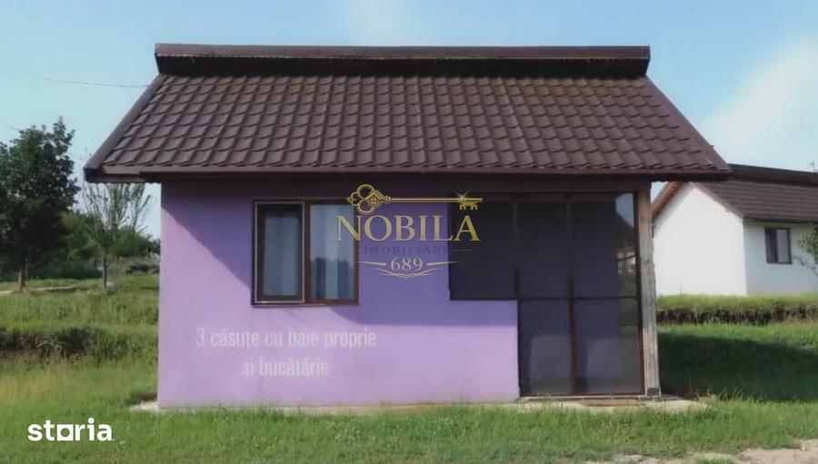 Teren de 130000 mp, în Iepurești