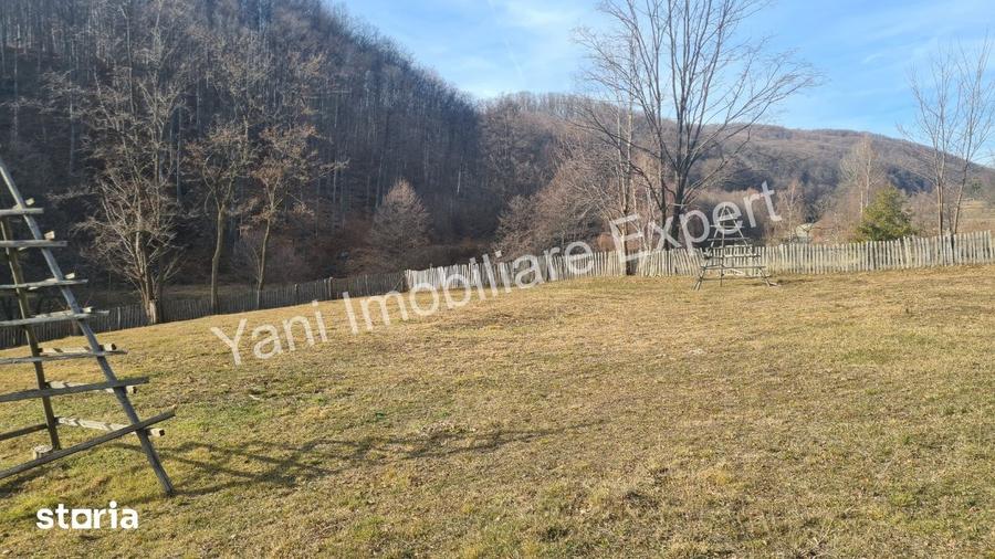Teren de 4681 mp, în Cicănești