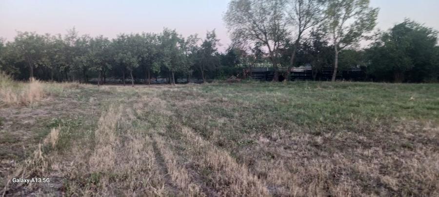 Teren de 3116 mp, în Oșorhei