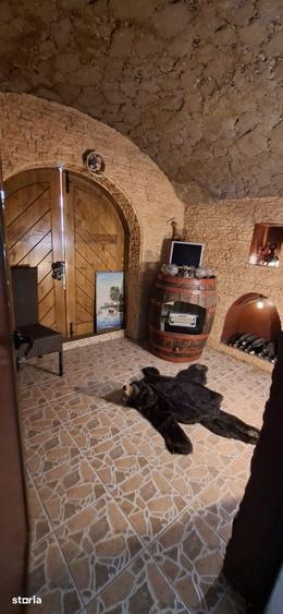 Casa individuala Bucium Plopii Fara So? - 6