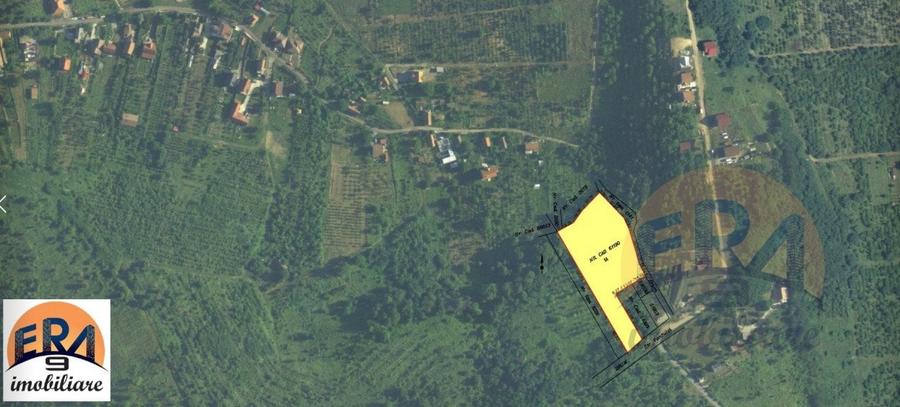 Teren Construcții intravilan de 6372 mp, în Oncea
