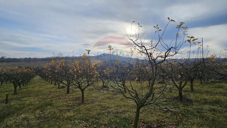 Teren extravilan de 10791 mp, în Fălticeni