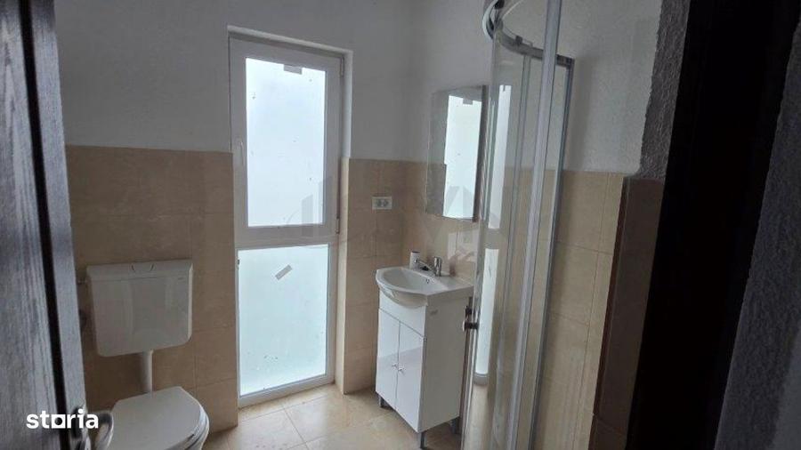 Vila 4 camere Lacul Plumbuita - 11