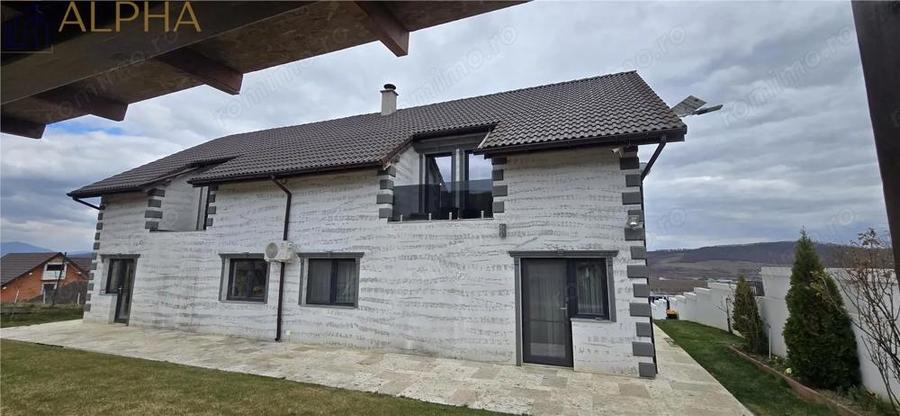 Casă cu Teren 1450 Mp în Viișoara